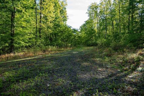 1 Laurel Mountain Road Belington WV 26250