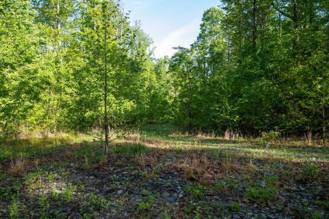 1 Laurel Mountain Road Belington WV 26250