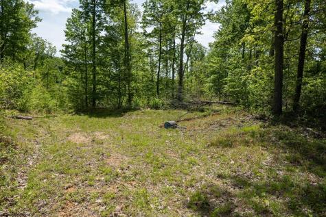 1 Laurel Mountain Road Belington WV 26250