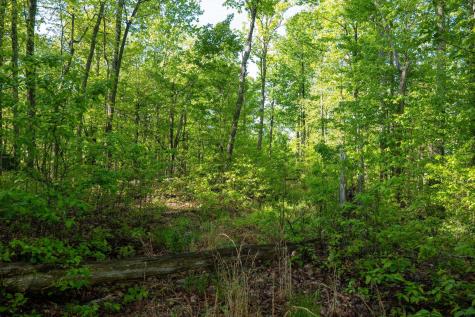 1 Laurel Mountain Road Belington WV 26250