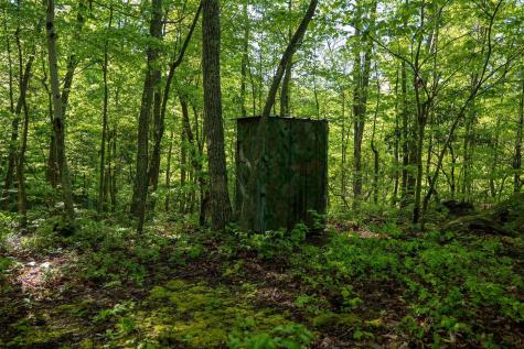1 Laurel Mountain Road Belington WV 26250