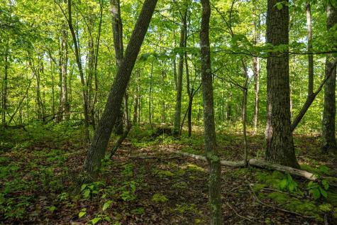 1 Laurel Mountain Road Belington WV 26250