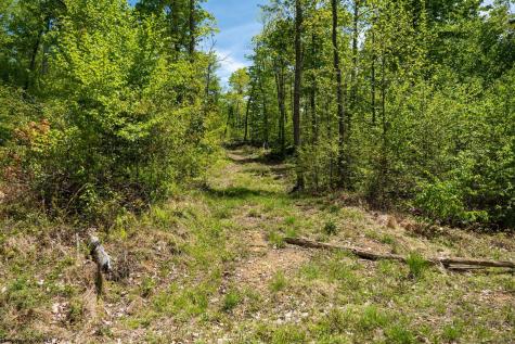 1 Laurel Mountain Road Belington WV 26250