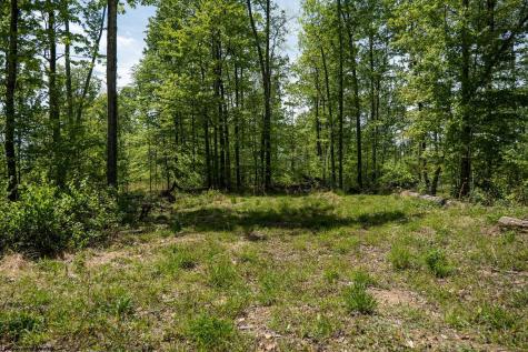 1 Laurel Mountain Road Belington WV 26250