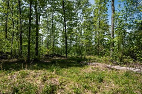 1 Laurel Mountain Road Belington WV 26250