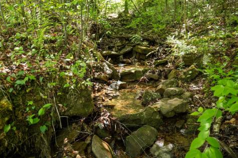 1 Laurel Mountain Road Belington WV 26250