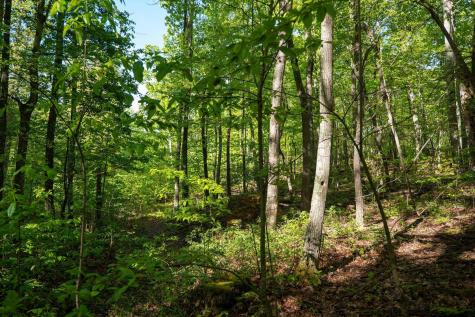 1 Laurel Mountain Road Belington WV 26250