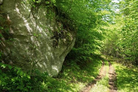 1 Laurel Mountain Road Belington WV 26250
