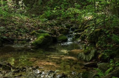 1 Laurel Mountain Road Belington WV 26250