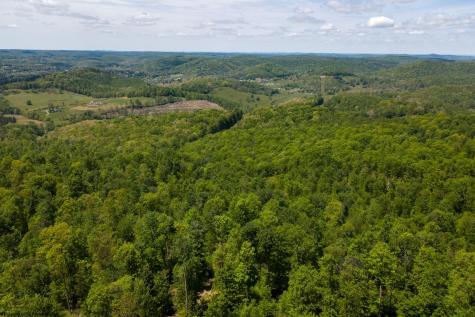 1 Laurel Mountain Road Belington WV 26250