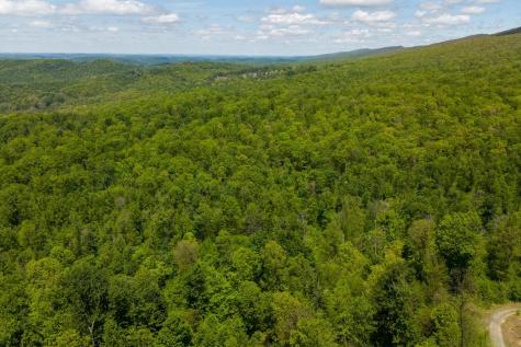1 Laurel Mountain Road Belington WV 26250