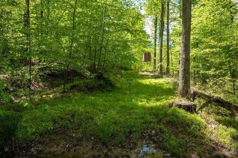 1 Laurel Mountain Road Belington WV 26250