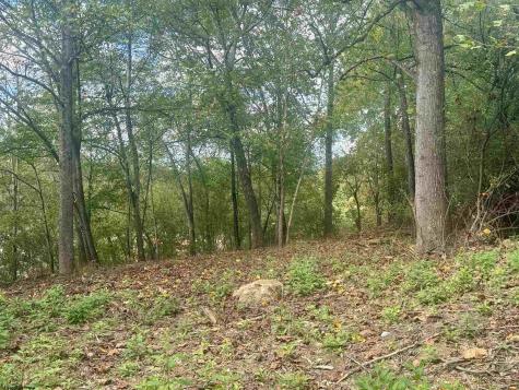 0 Johnson Avenue Bridgeport WV 26330