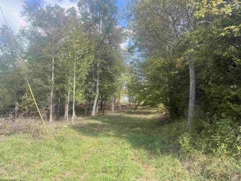 0 Johnson Avenue Bridgeport WV 26330