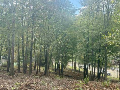 0 Johnson Avenue Bridgeport WV 26330