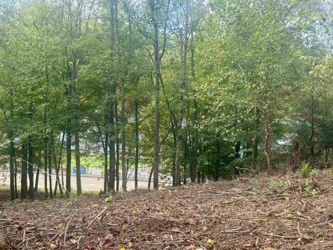 0 Johnson Avenue Bridgeport WV 26330