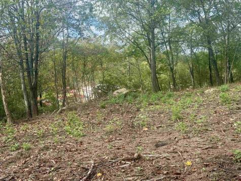 0 Johnson Avenue Bridgeport WV 26330