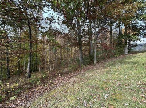 245 Coventry Drive Bridgeport WV 26330