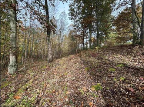 245 Coventry Drive Bridgeport WV 26330