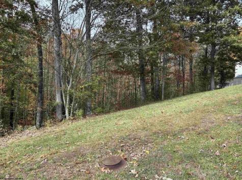 245 Coventry Drive Bridgeport WV 26330