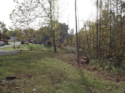 245 Coventry Drive Bridgeport WV 26330