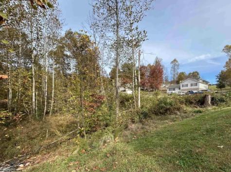 245 Coventry Drive Bridgeport WV 26330
