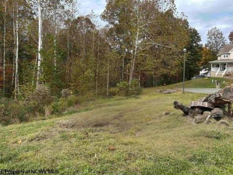 245 Coventry Drive Bridgeport WV 26330