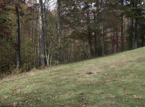 245 Coventry Drive Bridgeport WV 26330