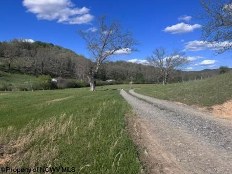 0 Shaffer's Run Road Mill Creek WV 26280