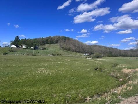0 Shaffer's Run Road Mill Creek WV 26280