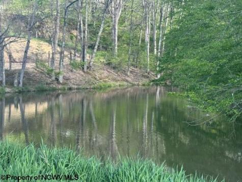 0 Shaffer's Run Road Mill Creek WV 26280