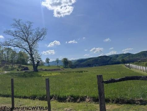 0 Shaffer's Run Road Mill Creek WV 26280