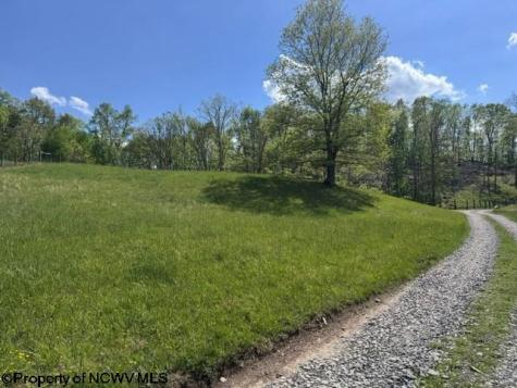 0 Shaffer's Run Road Mill Creek WV 26280