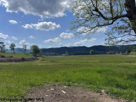 0 Shaffer's Run Road Mill Creek WV 26280