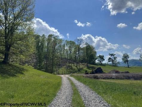 0 Shaffer's Run Road Mill Creek WV 26280