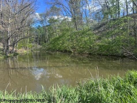 0 Shaffer's Run Road Mill Creek WV 26280