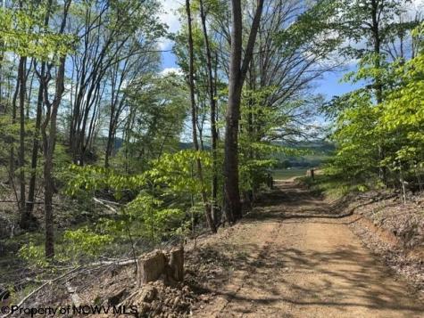 0 Shaffer's Run Road Mill Creek WV 26280