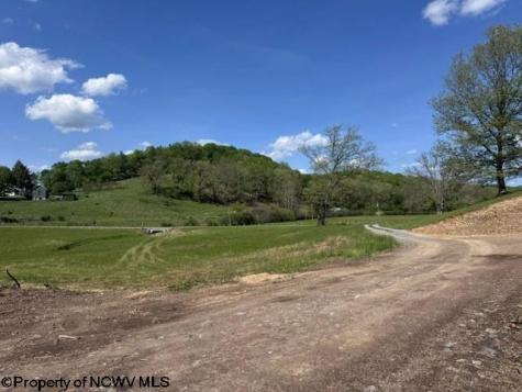 0 Shaffer's Run Road Mill Creek WV 26280