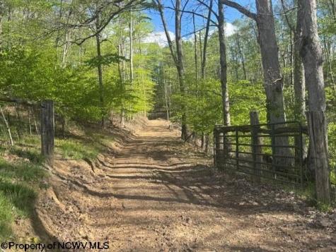 0 Shaffer's Run Road Mill Creek WV 26280