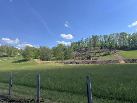 0 Shaffer's Run Road Mill Creek WV 26280
