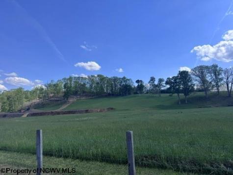 0 Shaffer's Run Road Mill Creek WV 26280