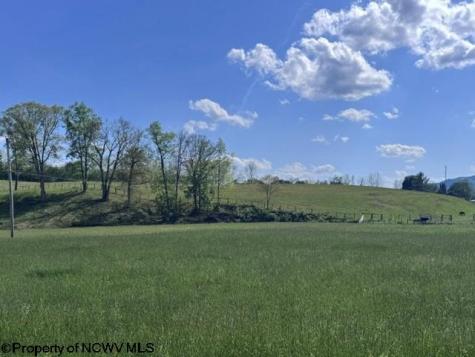 0 Shaffer's Run Road Mill Creek WV 26280