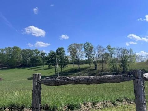 0 Shaffer's Run Road Mill Creek WV 26280