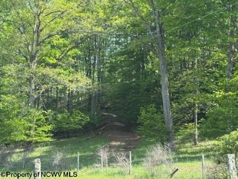 0 Shaffer's Run Road Mill Creek WV 26280