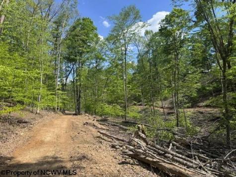 0 Shaffer's Run Road Mill Creek WV 26280
