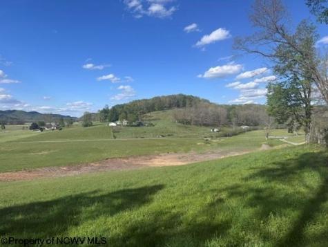 0 Shaffer's Run Road Mill Creek WV 26280