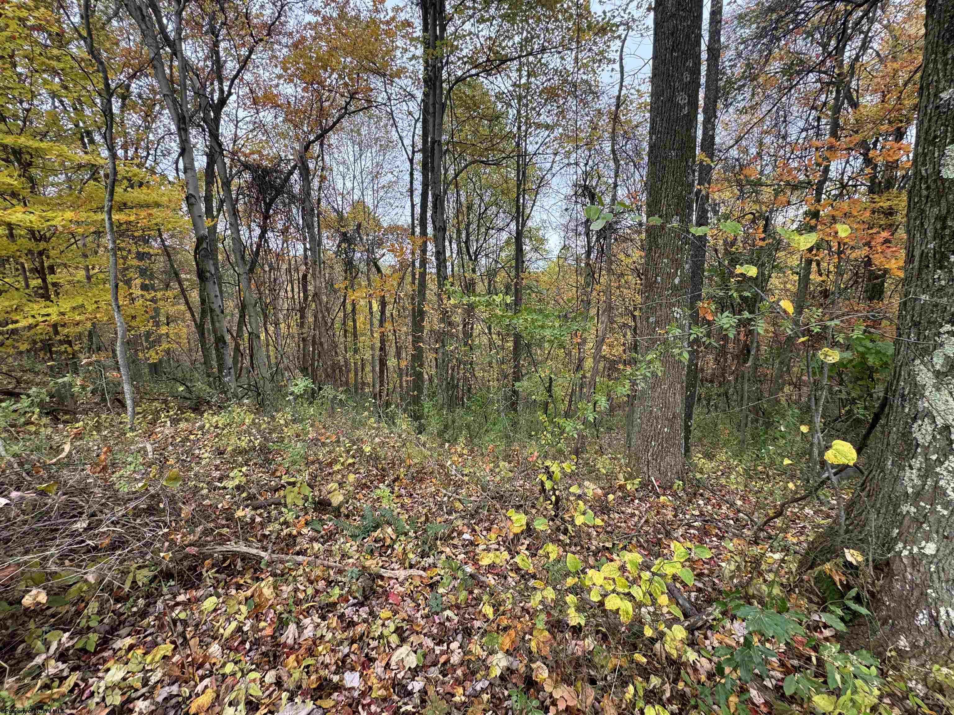 0 Rohr Road Masontown WV 26542