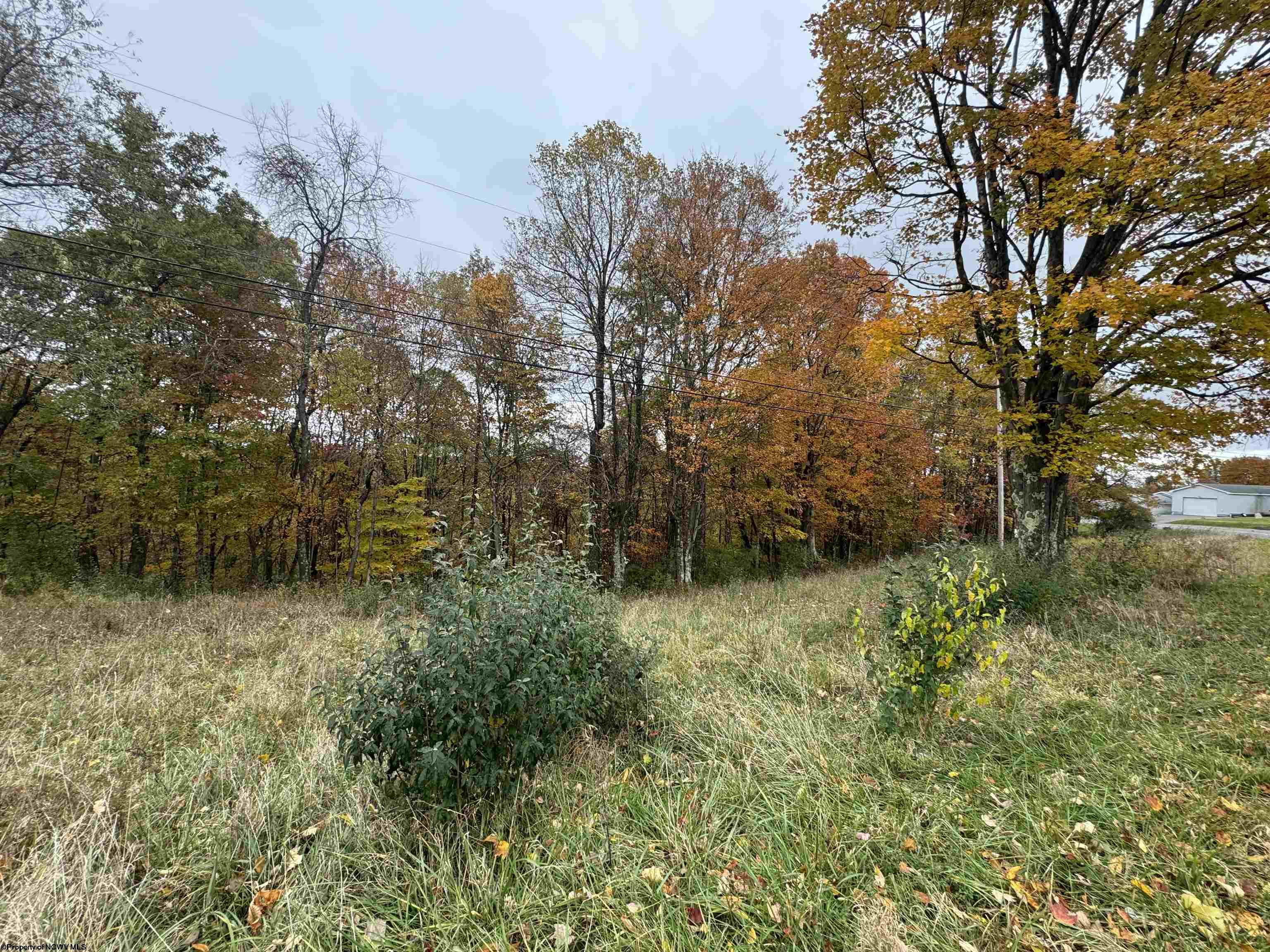 0 Rohr Road Masontown WV 26542