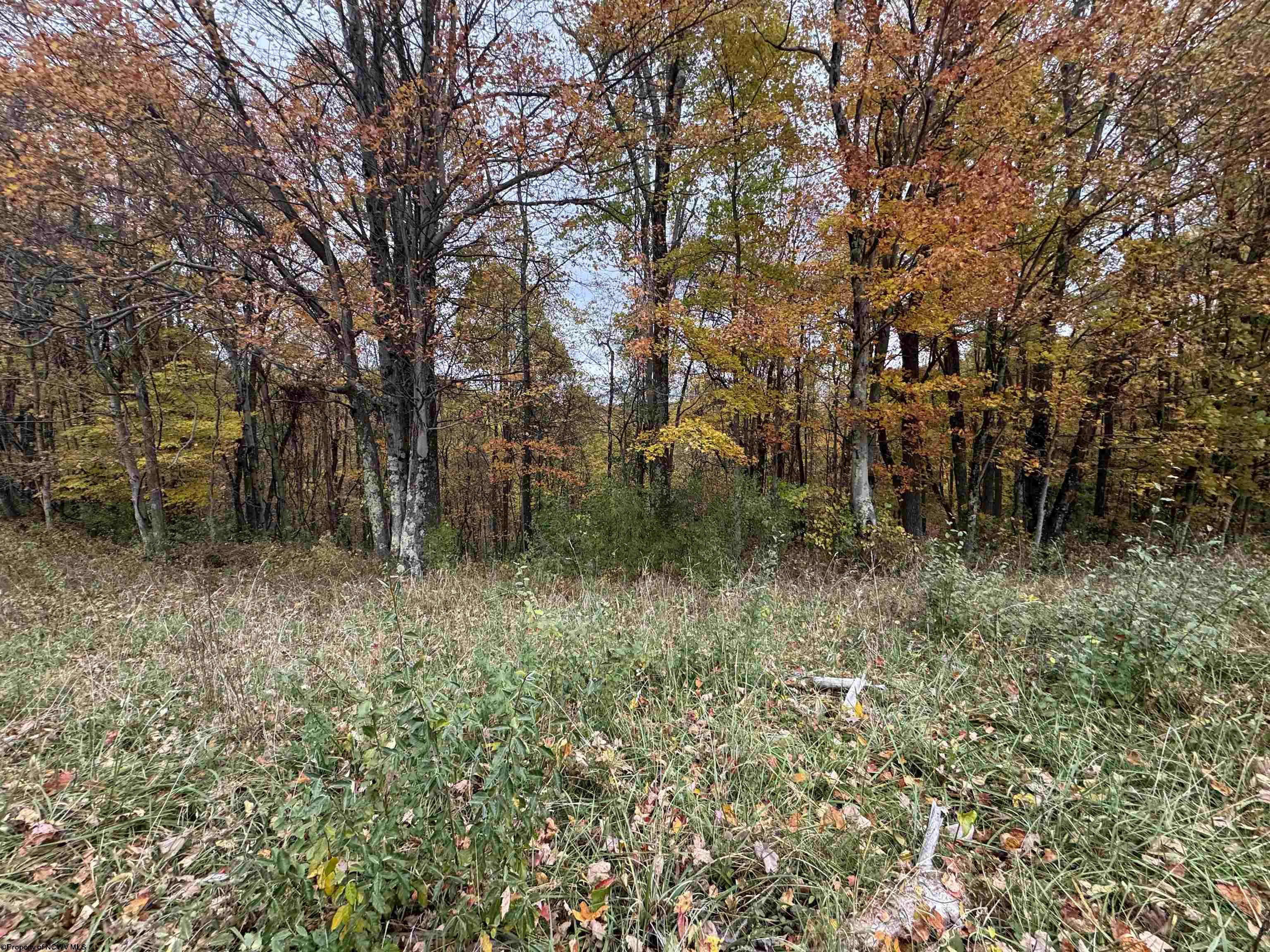 0 Rohr Road Masontown WV 26542