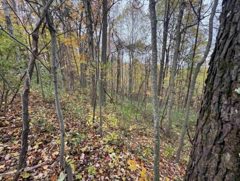 0 Rohr Road Masontown WV 26542